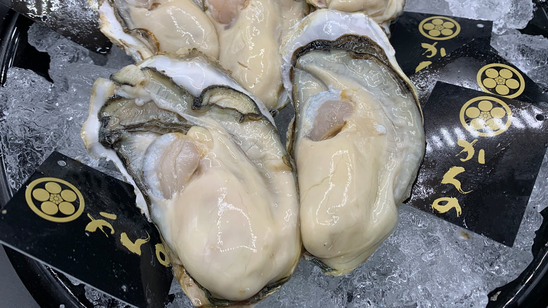 BITE OYSTERのイメージ画像