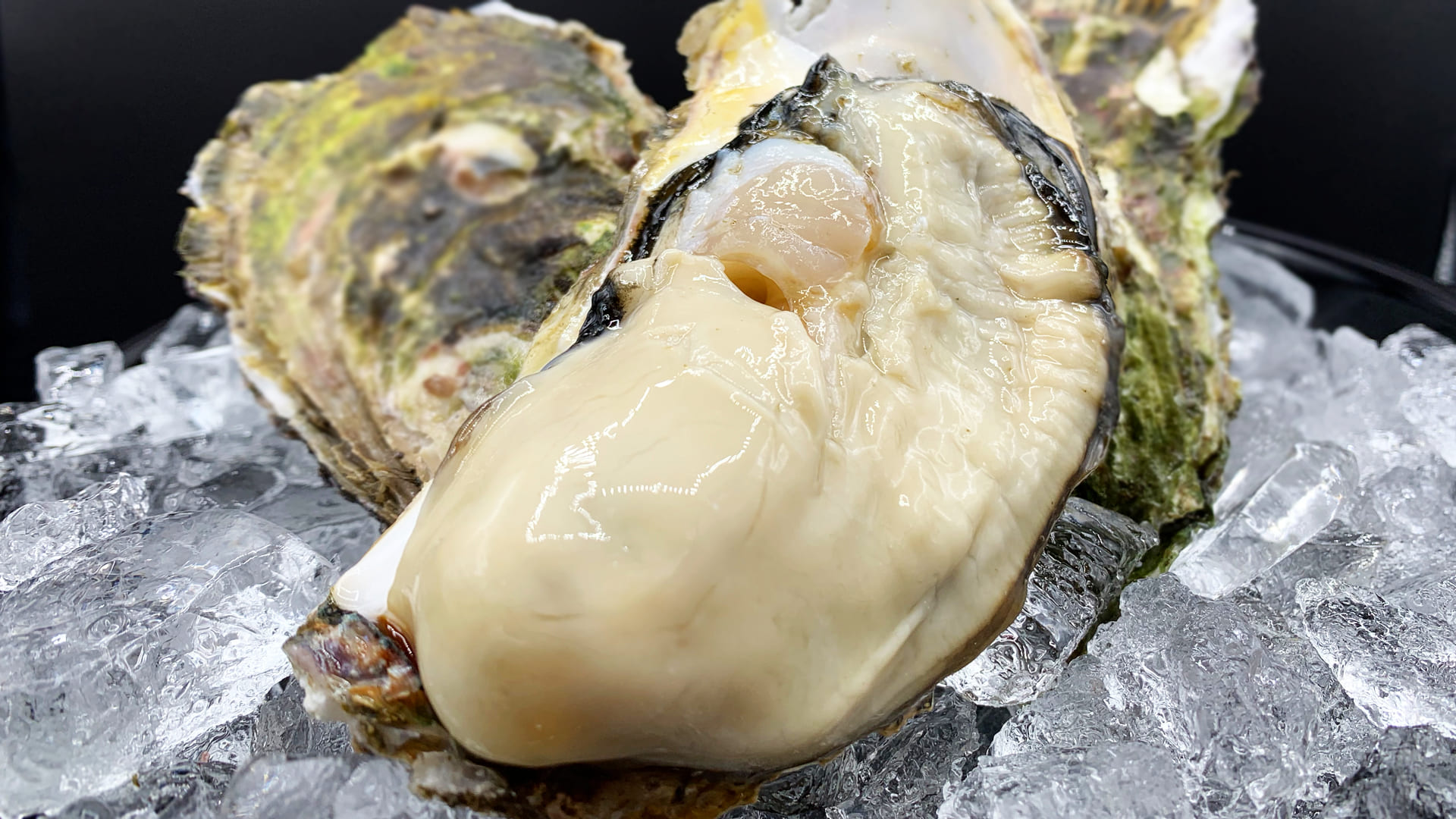 令和の怪物アップのイメージ画像